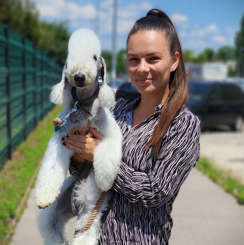 Quote Bedlington Terrier Kennel FCI